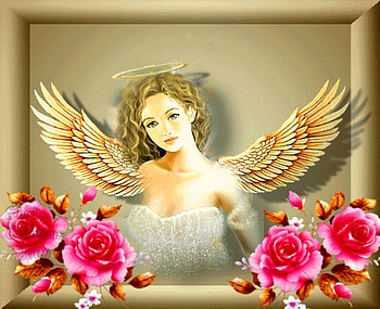 For those that have lost someone, wings, roses, red, angel, gold HD wallpaper