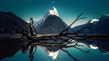 Mitre Peak , Moon, Fallen Tree, Nature HD wallpaper