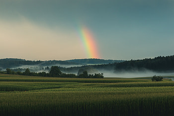 Grassland, landscape, sky, rainbow HD wallpaper