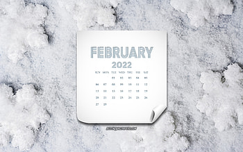 2022 February Calendar, , snow background, February, winter background, February 2022 Calendar, 2022 concepts HD wallpaper