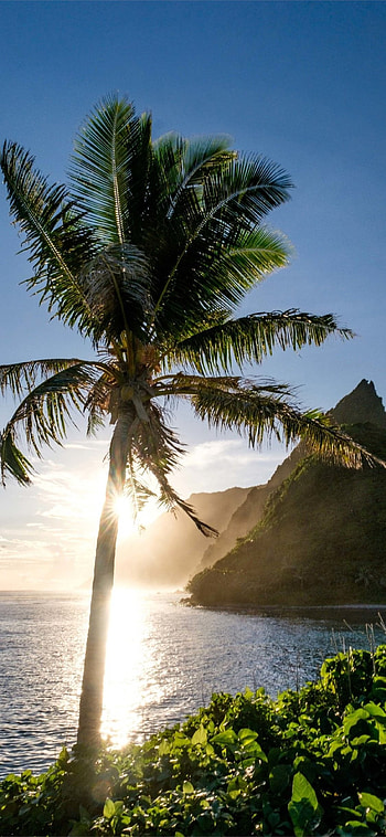 Best Jamaica , Island vibes, Caribbean paradise, Tropical beauty HD phone wallpaper