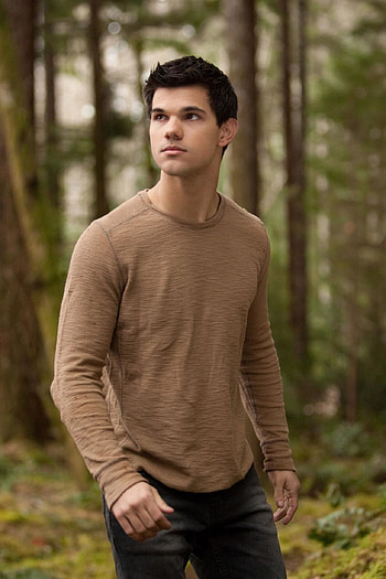 Jacob Black, Twilight movies, Taylor Lautner, Werewolf HD phone wallpaper