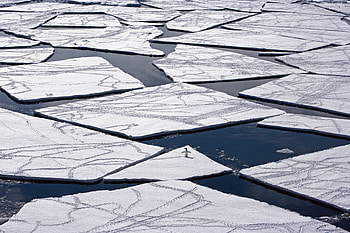lonely penguin, sea, penguin, lonely, ice HD wallpaper