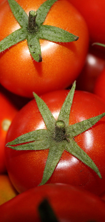 Tomato, Food, Vegetable, Health HD phone wallpaper
