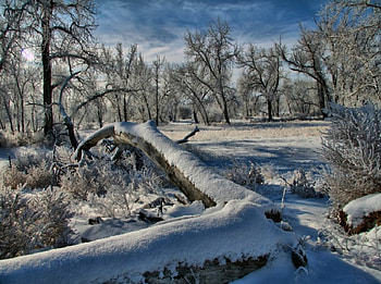 Frost Laden, laden, frost HD wallpaper