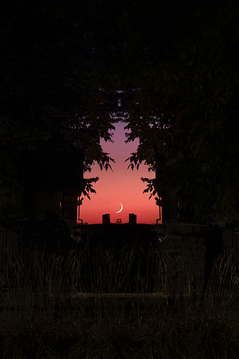 Sunset, moon, minimal, silhouette HD phone wallpaper