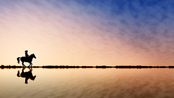Nature, Sky, Horizon, Silhouette, Horse, Rider, Horseman HD wallpaper