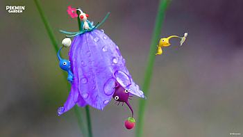 Pikmin : Vibrant Garden Adventure, Pikmin HD wallpaper