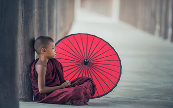 Little monk, umbrella, buddhism, boy, red, parasol, monk, child, copil HD wallpaper