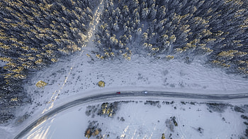 Birds Eye Aerial View Of Road Trees Winter , road, trees, winter, nature HD wallpaper