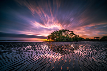 Nature, Water, Wood, Tree, Rise, Sunrise, Colourful, Colorful HD wallpaper