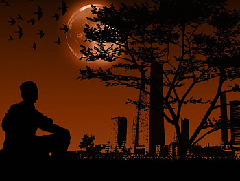Alone, birds, city, jaris, desolate, sadness, tree, moon, sewenka, hop HD wallpaper