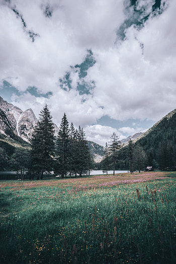 Landscape, Nature, Trees, Mountains, Italy HD phone wallpaper