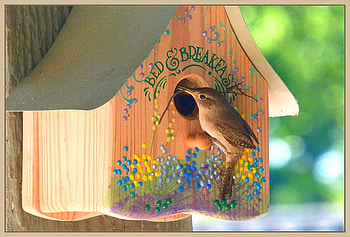 A place to stay, bed and breakfast, sparrow, art, birdhouse HD wallpaper