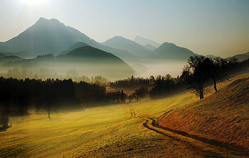 Nature, Mountains, Road, Fog, Relief, Hills, Morning, Country, Countryside HD wallpaper