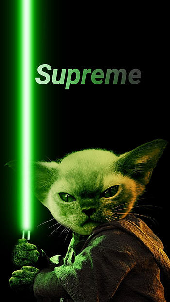 Supreme, whiskers, green HD phone wallpaper