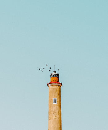 A lighthouse with a clear blue sky and birds flying above in Curaçao. HD phone wallpaper