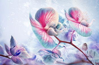 Orchids, blue, pink, yohan dupuy, fantasy, flower, orchid HD wallpaper