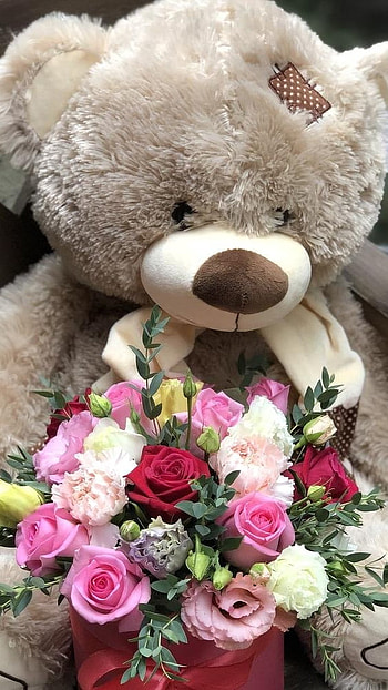 Teddy Bear Ke, Big Teddy, floral design HD phone wallpaper