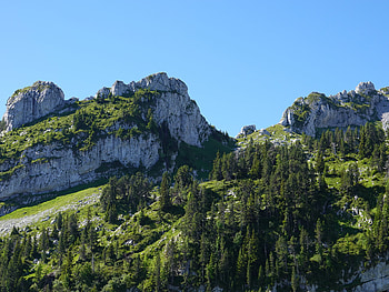 Nature, Trees, Rocks, Mountain HD wallpaper