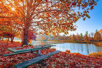 Autumn lake, Autumn HD wallpaper