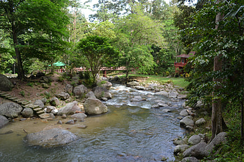 waterfall at Malaysia.., amadeen, kum33r, graverobber, nice-destiny, purplehaze74, merih1, kkraja, jacqelinela, morizmo, floriana, spanish-gurl, santos23, robotic, pinegreen, levyznin, jwoof, ramyadevims, sewenka, mello, truckdriver, kull, ohio, sotos, jackie133, mj90, myst3rio, itta31, janu12, irwin, deadcreed12, zeeshan7, solidgiant, justin636, walt513, norbevort, nadxxm, anonymous, dencedex23, pekagibson, imransajan6, bluerose, tedisoo, ozzy5555, dreamer-girl, jercko, javajodi, sensssor, perscons, lu, adel, feliperovere, eremit, delorean, gwgreen1 HD wallpaper