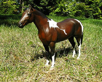 paint horse, white, mare, brown, lady phase, paint, mix color HD wallpaper