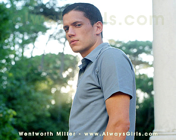 Wentworth Miller, tv sieres, hot, actors, prison break HD wallpaper
