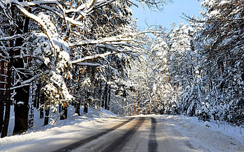 Landscape, Winter, Nature, Trees, Roads, Snow HD wallpaper