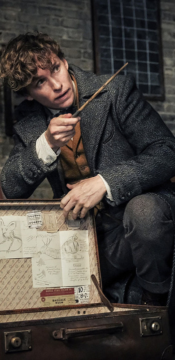 Eddie Redmayne, Newt Scamander, Poster HD phone wallpaper