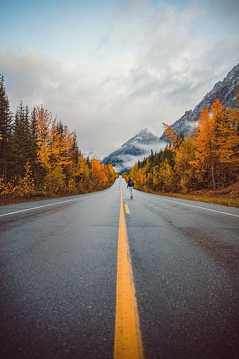 Nature, Trees, Mountains, Autumn, Road, Human, Person HD phone wallpaper