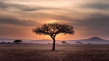 Mountains Sky Clound Tree HD wallpaper