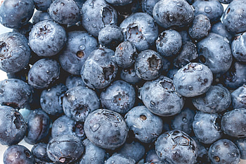 Food, Bilberries, Drops, Macro, Berry, Fruit HD wallpaper