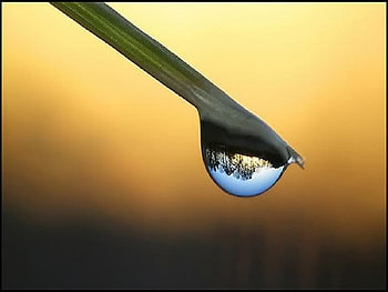 Scene In The Water, abstract, graphy, drops, dew, water, mind teasers HD wallpaper