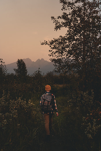 Nature, Twilight, Miscellanea, Miscellaneous, Dusk, Wildlife, Human, Person, Tourist HD phone wallpaper
