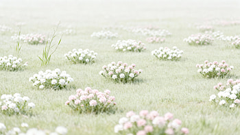 Serene Blooming Meadow —, Clover HD wallpaper