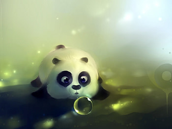 Animals, , Pandas HD wallpaper