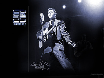elvis live, elvis presley, elvis, music, 50s HD wallpaper