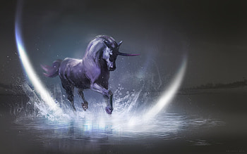 Unicorn, white, horse, black, art, moon, fantasy, luna, luminos, water HD wallpaper