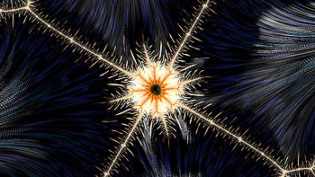 Trippy Psychedelic Fractal, dark, black, white, Abstract, fractal, abstract black HD wallpaper
