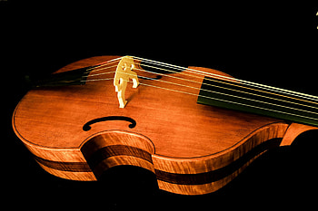 Viola da Gamba music, 2021 exhibitors, Gabriel's Baroque, Boston Early Music Festival HD wallpaper