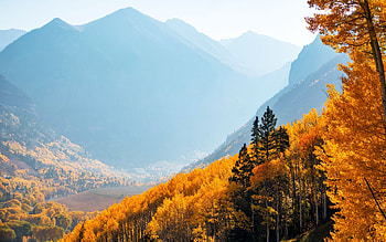 Telluride, Colorado, usa, leaves, morning, colors, landscape, trees, misty HD wallpaper