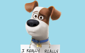 Max In The Secret Life Of Pets, the-secret-life-of-pets, movies, animated-movies, cartoons HD wallpaper