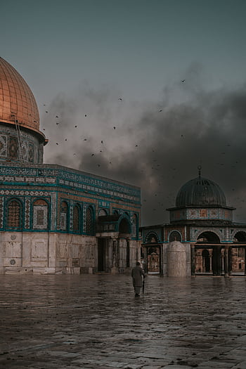 Atmospheric view of the Dome of the Rock with a moody sky and birds in flight at dusk. HD phone wallpaper