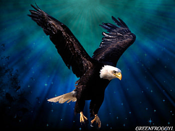 EAGLE, ART, ABSTRACT, BIRD HD wallpaper
