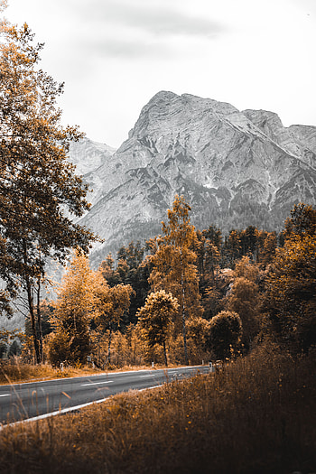 Nature, Trees, Mountains, Road HD phone wallpaper