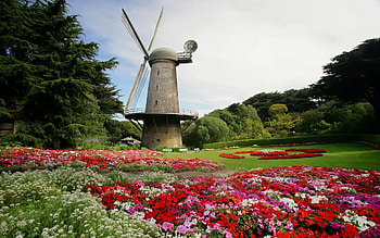 North Dutch Windmill and Queen Wilhelmina Tulip Gardens, Golden Gate Park, San Francisco, California HD wallpaper