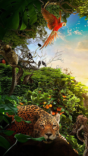 Jungle Animal, Jungle-themed , Tropical beauty, Nature on your screen HD phone wallpaper