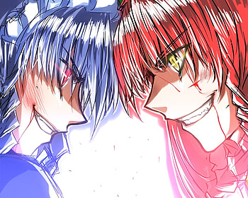 Izayoi Sakuya & Hong Meiling, games, yellow eyes, white background, red hair, pink eyes, female, hong meiling, sakuya, izayoi sakuya, smile, blue hair, anime, cool, face, touhou, video games, meiling HD wallpaper