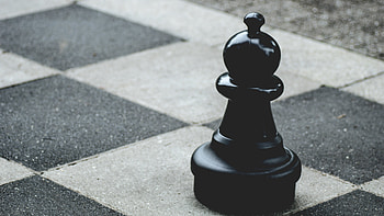 Sports, Chess, Bw, Chb, Figure, Elephant HD wallpaper
